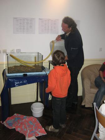 mise en eau des aquariums