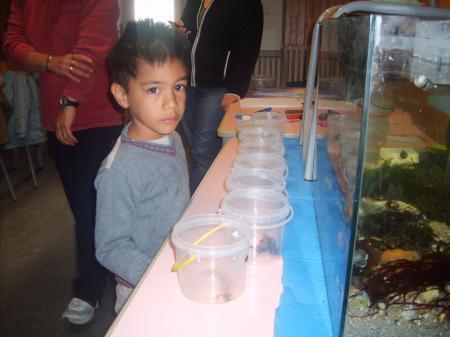 observation de l'aquarium