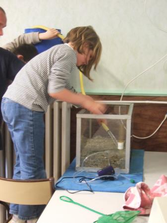 mise en eau des aquariums