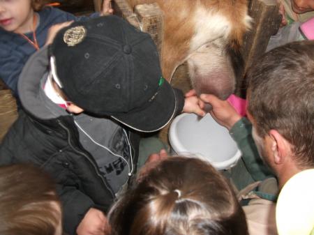 ferme