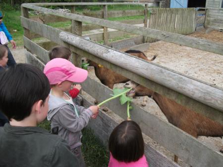 ferme