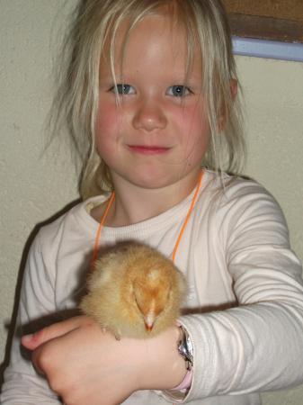 ferme