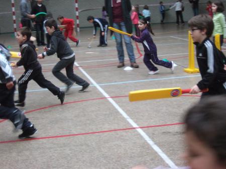 cricket