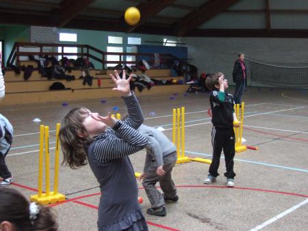 cricket